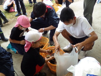 収穫したジャガイモを袋に詰める園児たち