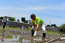 町長も田植えをしました