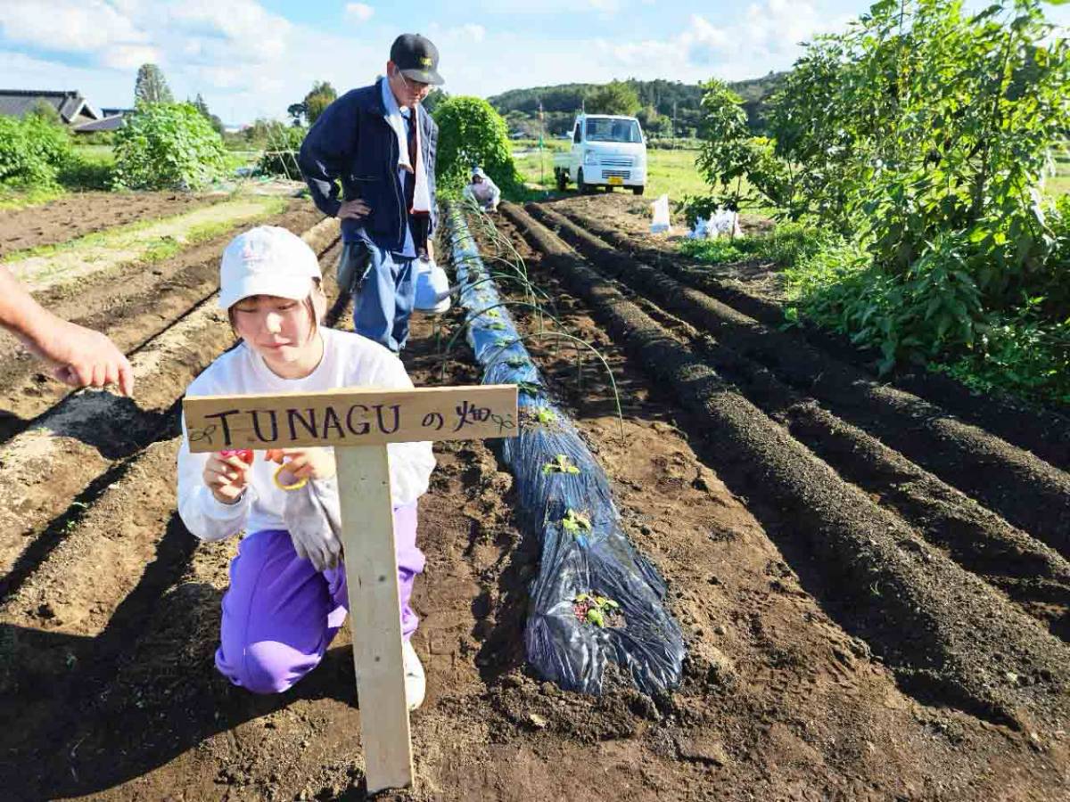 畑に看板を立てている様子